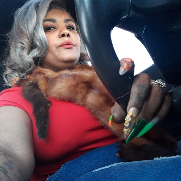 Meet your Posher, Cameal - Picture 15 of 16